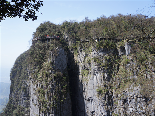 image1