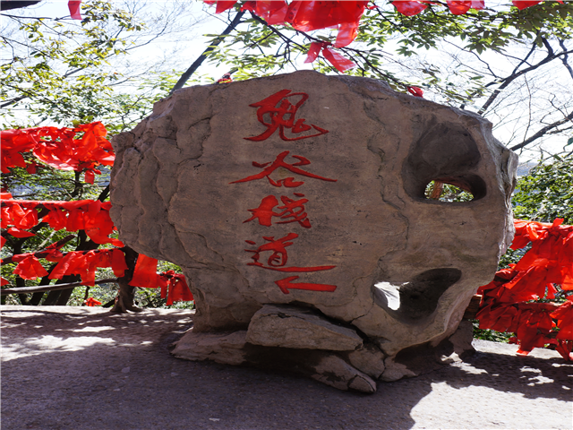 image4