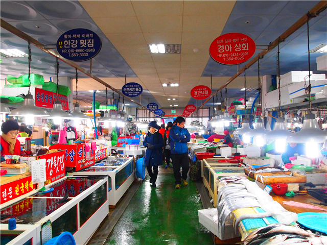[KTX] 전라도 여수 당일여행 <여수 삼색체험> | NOL 인터파크투어 [KTX] 전라도 여수 당일여행 <여수 삼색체험>