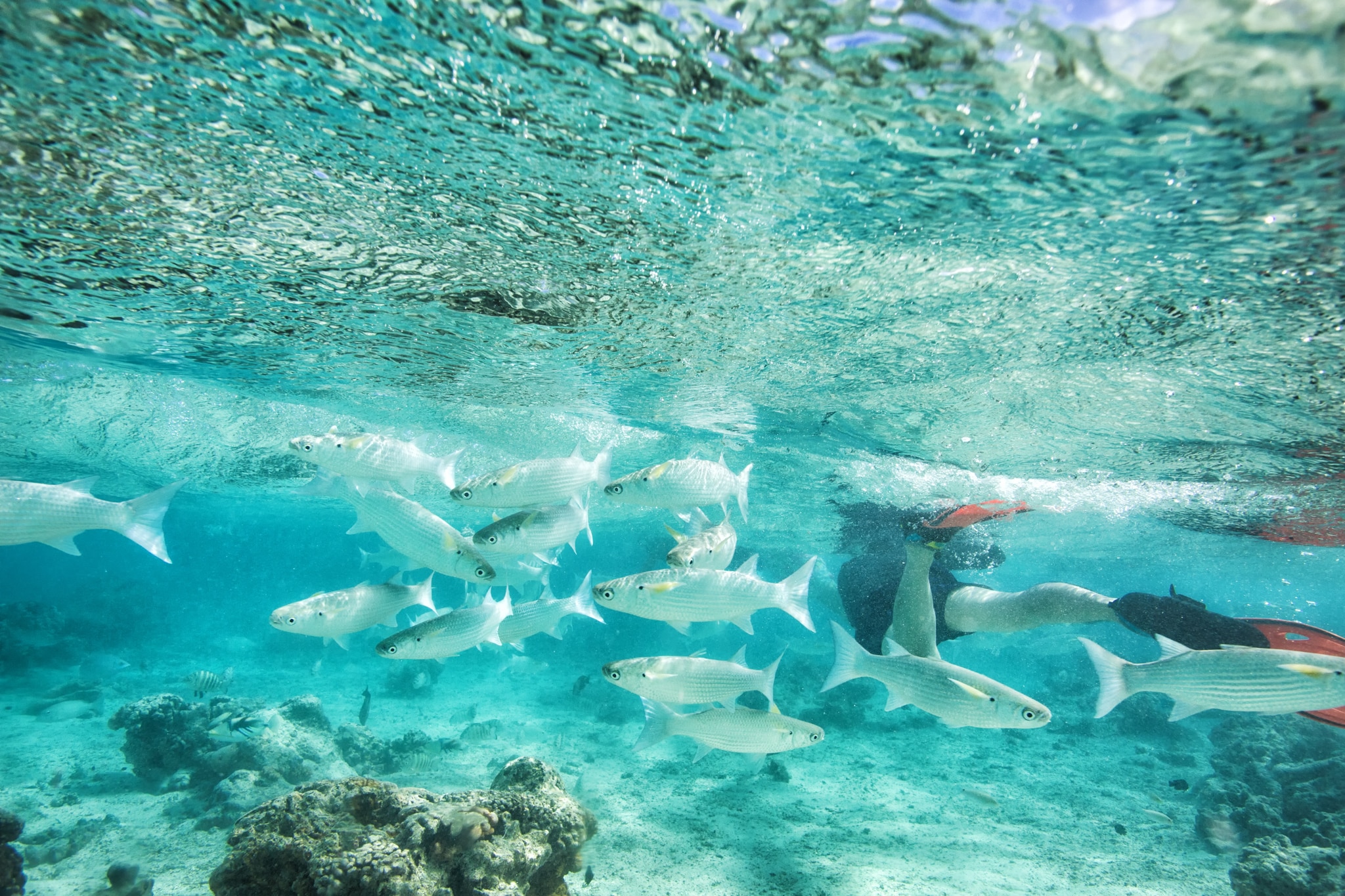[설연휴] 사이판 인기 호텔숙박 제주항공 3박4일 [아침출발/비행5시간이내휴양지]  이미지