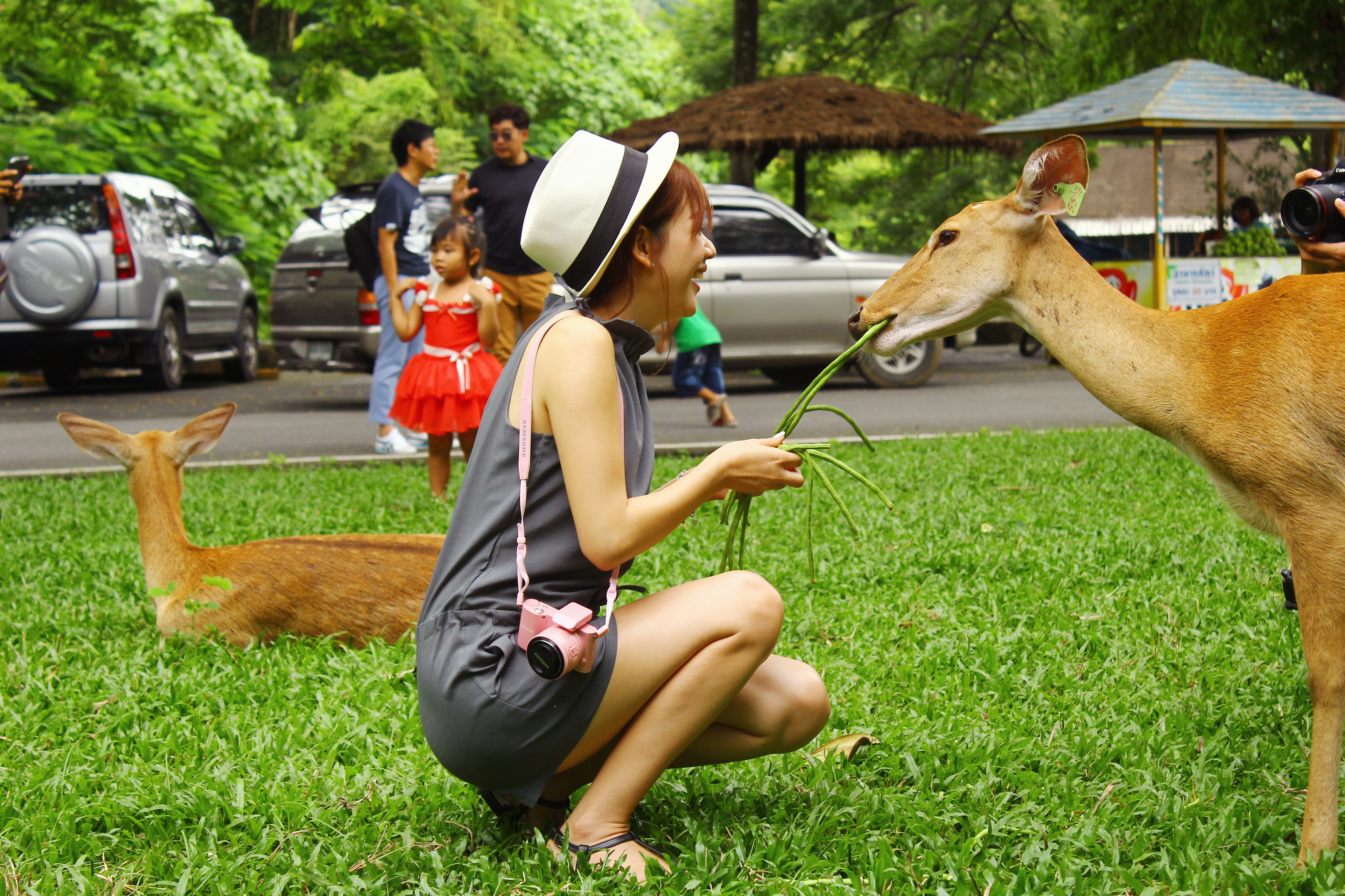 [NEW트랜드][시그니처][노옵션/노팁]방콕/파타야(데일리마사지/카오키여우 동물원) 5/6일 이미지