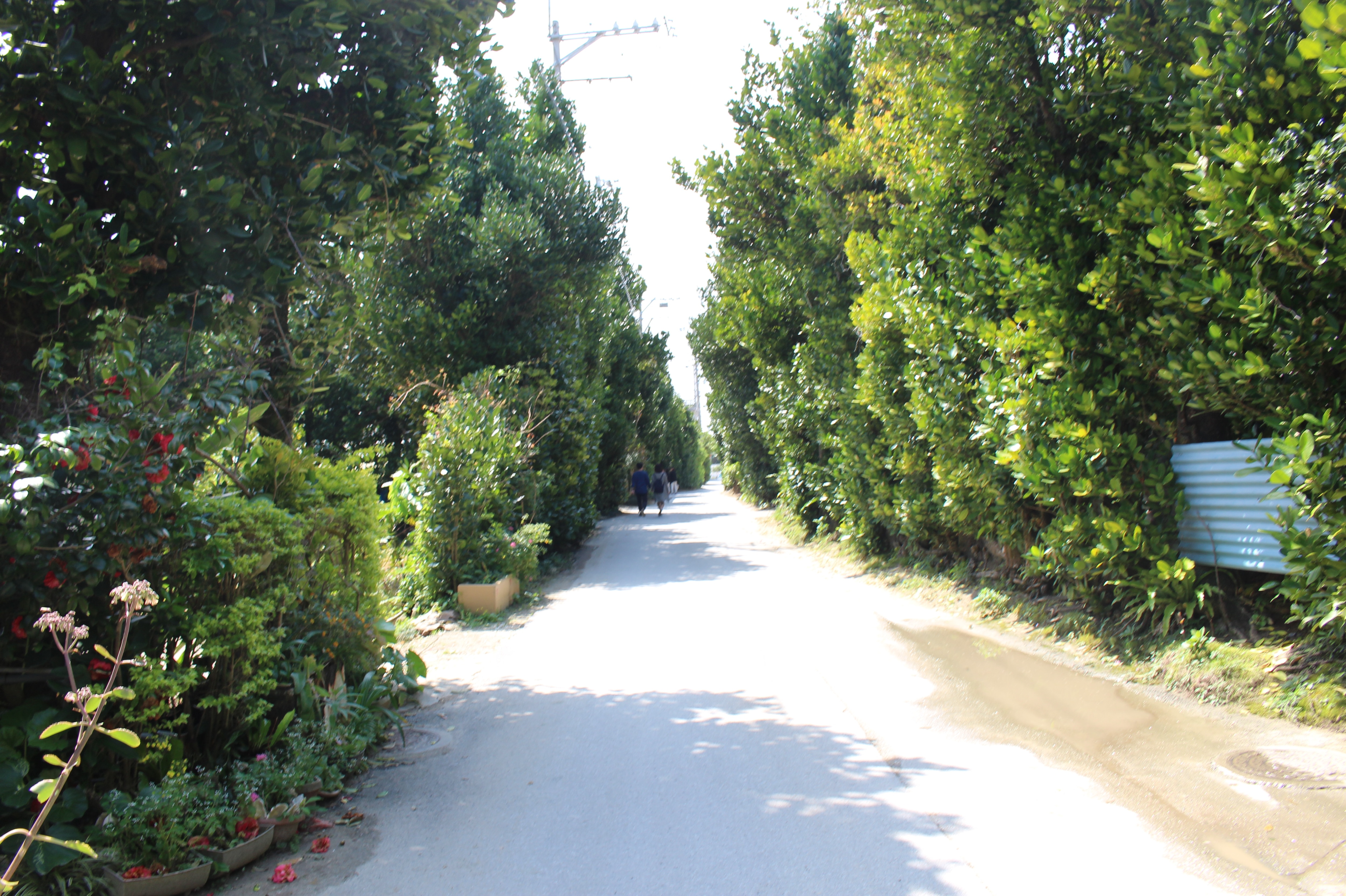 [스마트패키지] 오키나와 4일 (시티호텔연박/츄라우미수족관/1일자유)