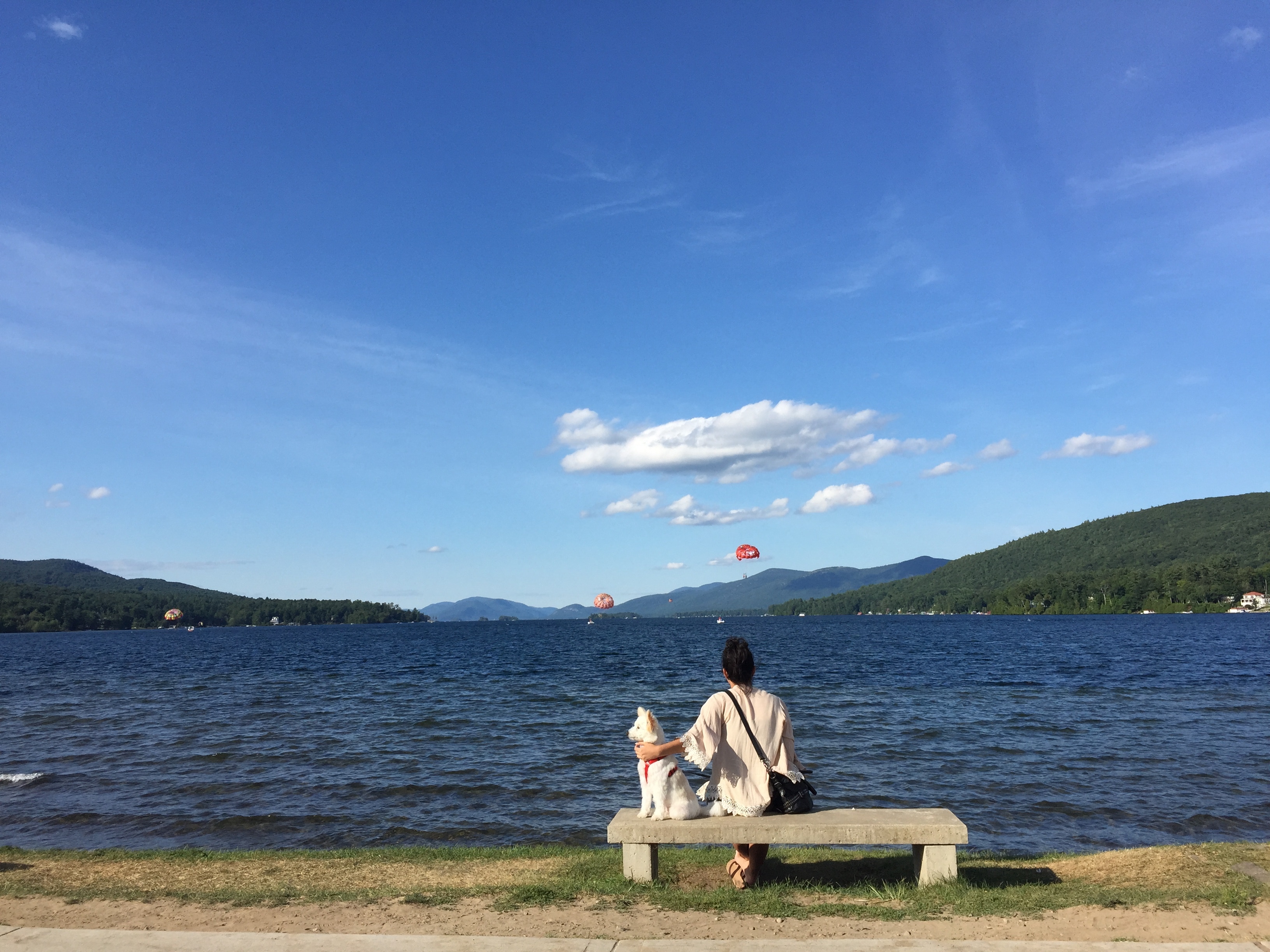 [출발임박][품격/노쇼핑/VIP버스] 미동부 캐나다10일 <힐튼나이아가라20층이상폭포뷰/올드퀘벡숙박/뉴욕/워싱턴/몬트리올>