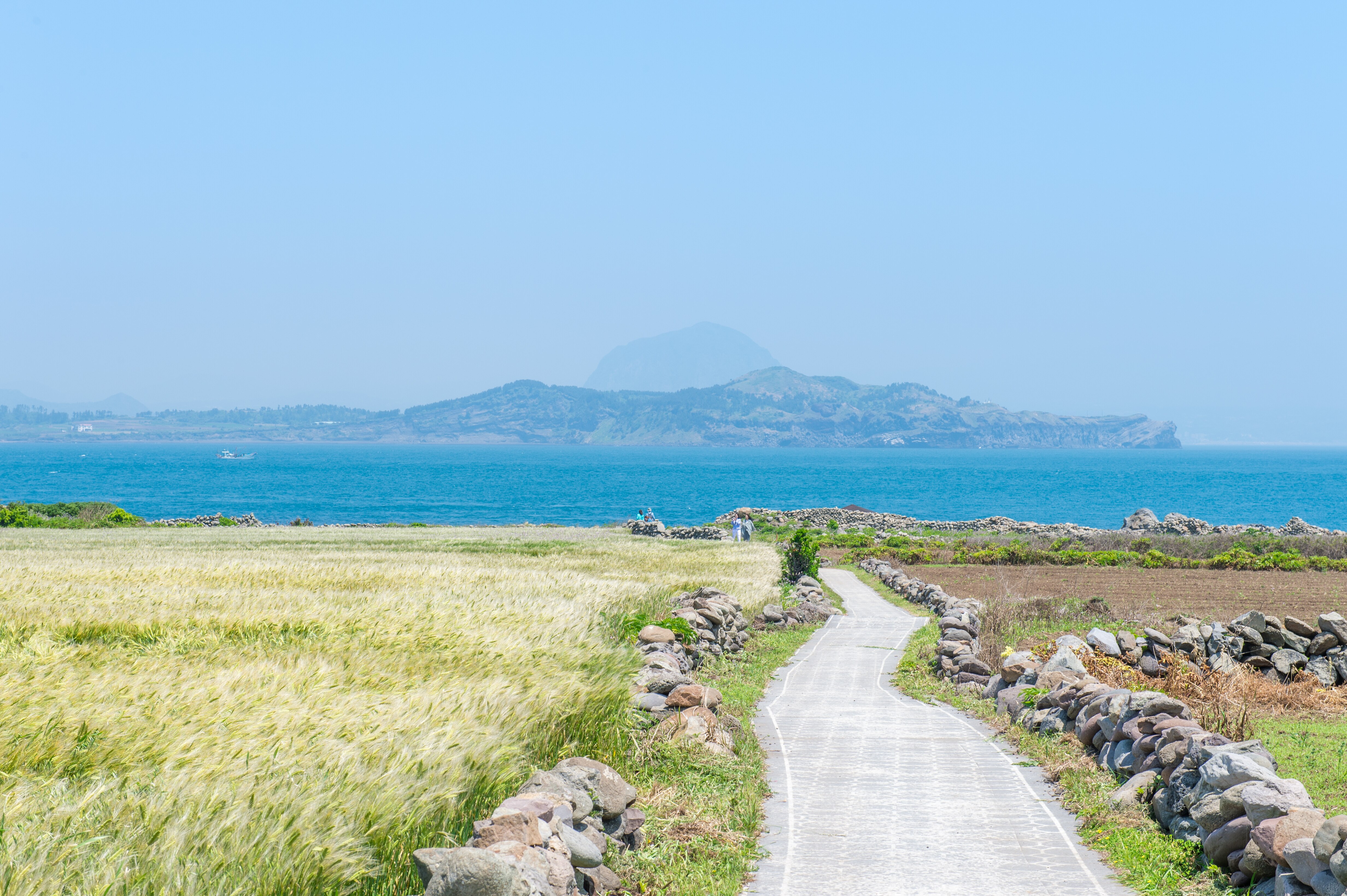 [출발확정][삼도투어] 제주도 우도 마라도 3일 <노팁/노옵션/대한항공> 이미지