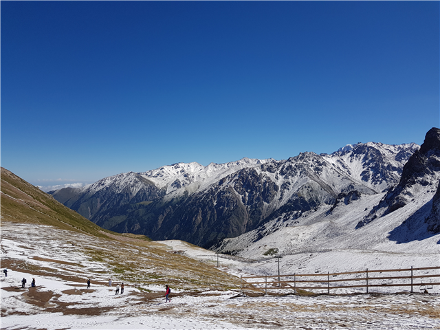 image1