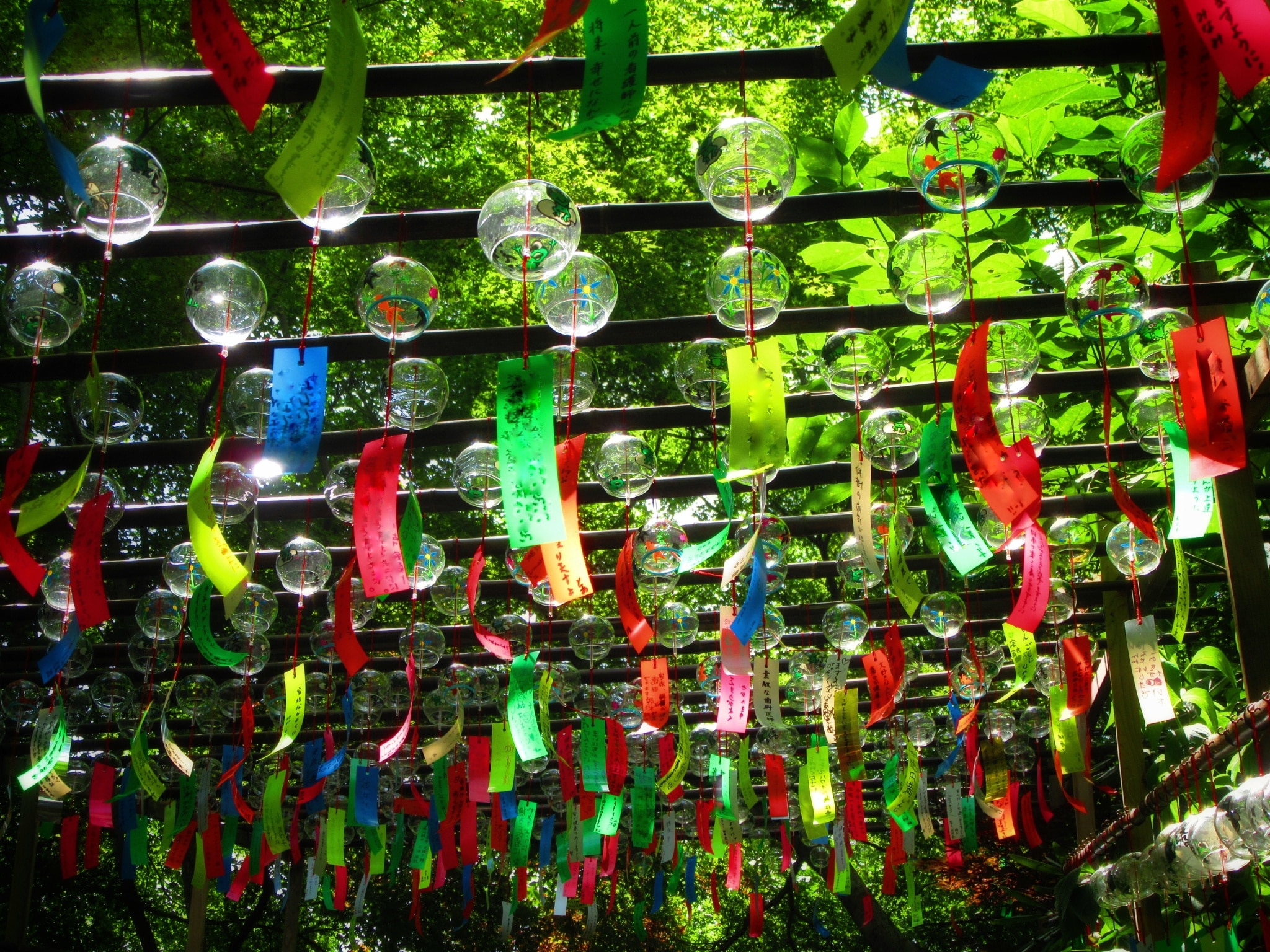 [특식3회/매일온천여행] 후쿠오카/오고리/벳부/유후인/구마모토/히타/다자이후 4일 (온천호텔3박