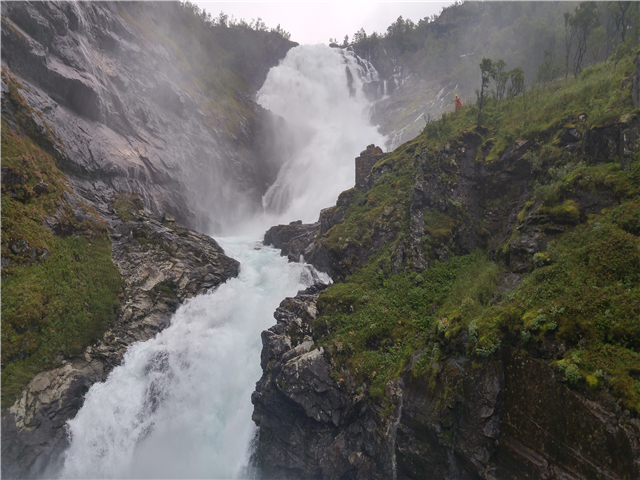 image1