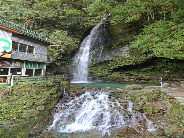 image4