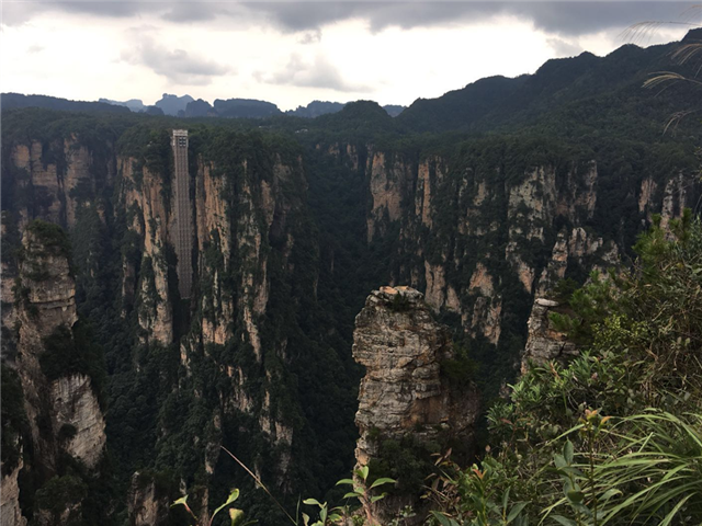 image1