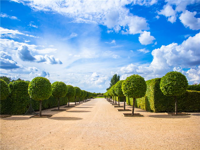 [출발확정 임박/유류할증료 고정] 발트 3국(에스토니아/라트비아/리투아니아)+폴란드 8일 <No쇼핑/전일정 4성/중간항공이동/룬달레궁전/트라카이성/파르누해변>