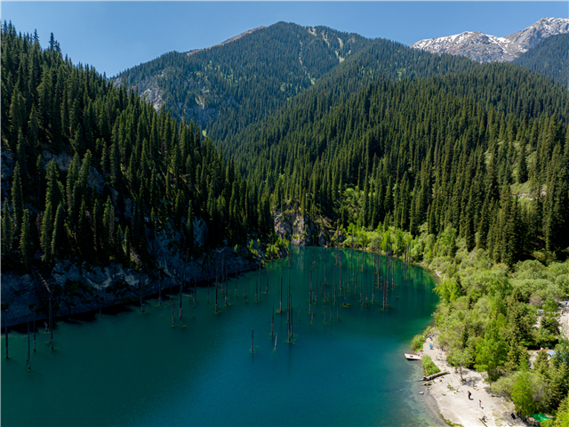 image1