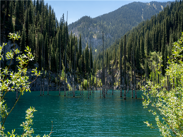 image1