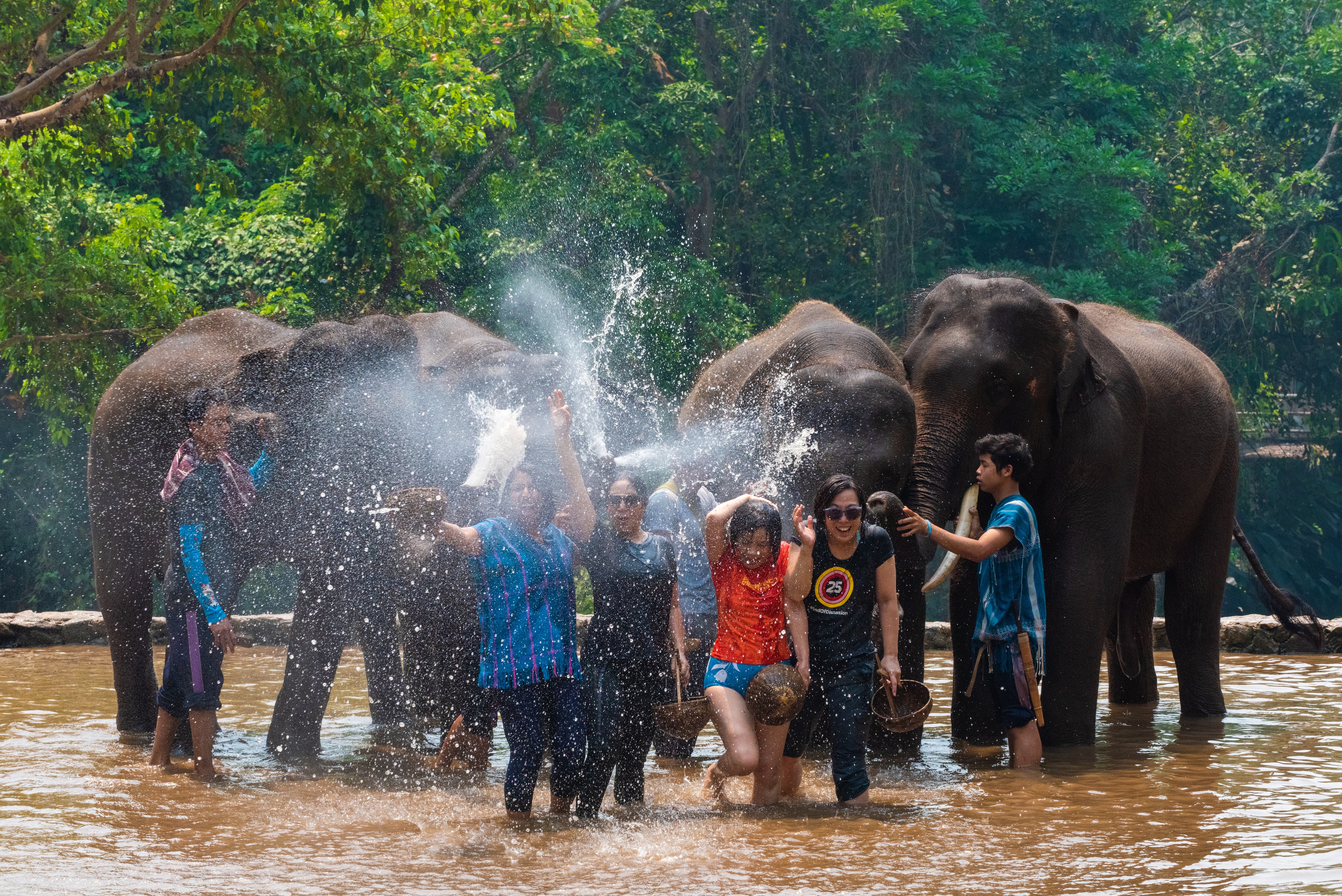 치앙마이/치앙라이 단독여행(우리들만의 여행) 5일 이미지