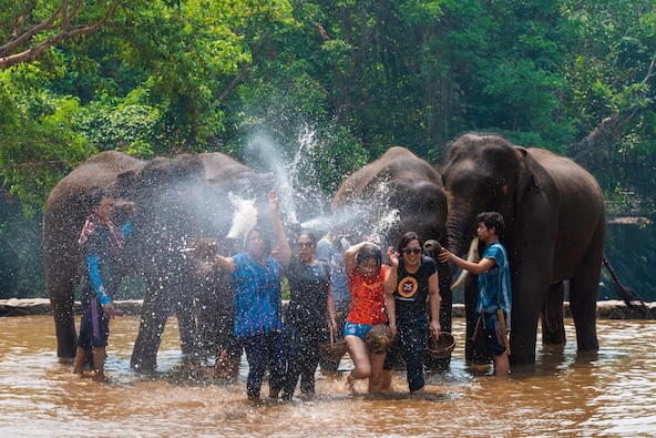 치앙마이/치앙라이 단독여행(우리들만의 여행) 5일 이미지 치앙마이/치앙라이 단독여행(우리들만의 여행) 5일 이미지