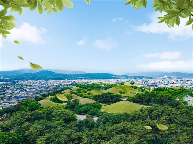 [시그니처블랙][2인출발/벤츠차량/가이드동행] 경상도(포항,경주,울산,부산)+주왕산트레킹+별미여행 2박3일 이미지