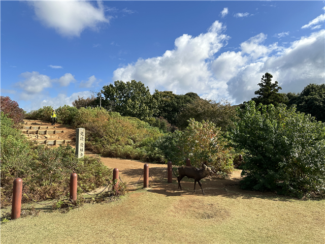 image4