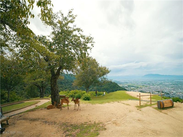 image1
