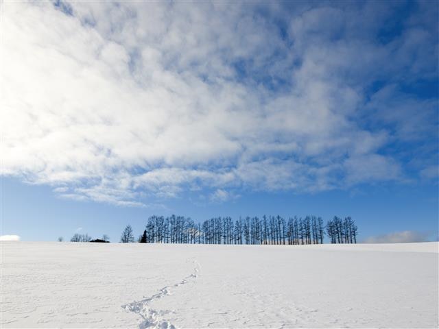 [출발확정][홈쇼핑인기상품]비에이/북해도 온천4일(전일정특급호텔/노팁/무제한대게특식/베스트설경명소)