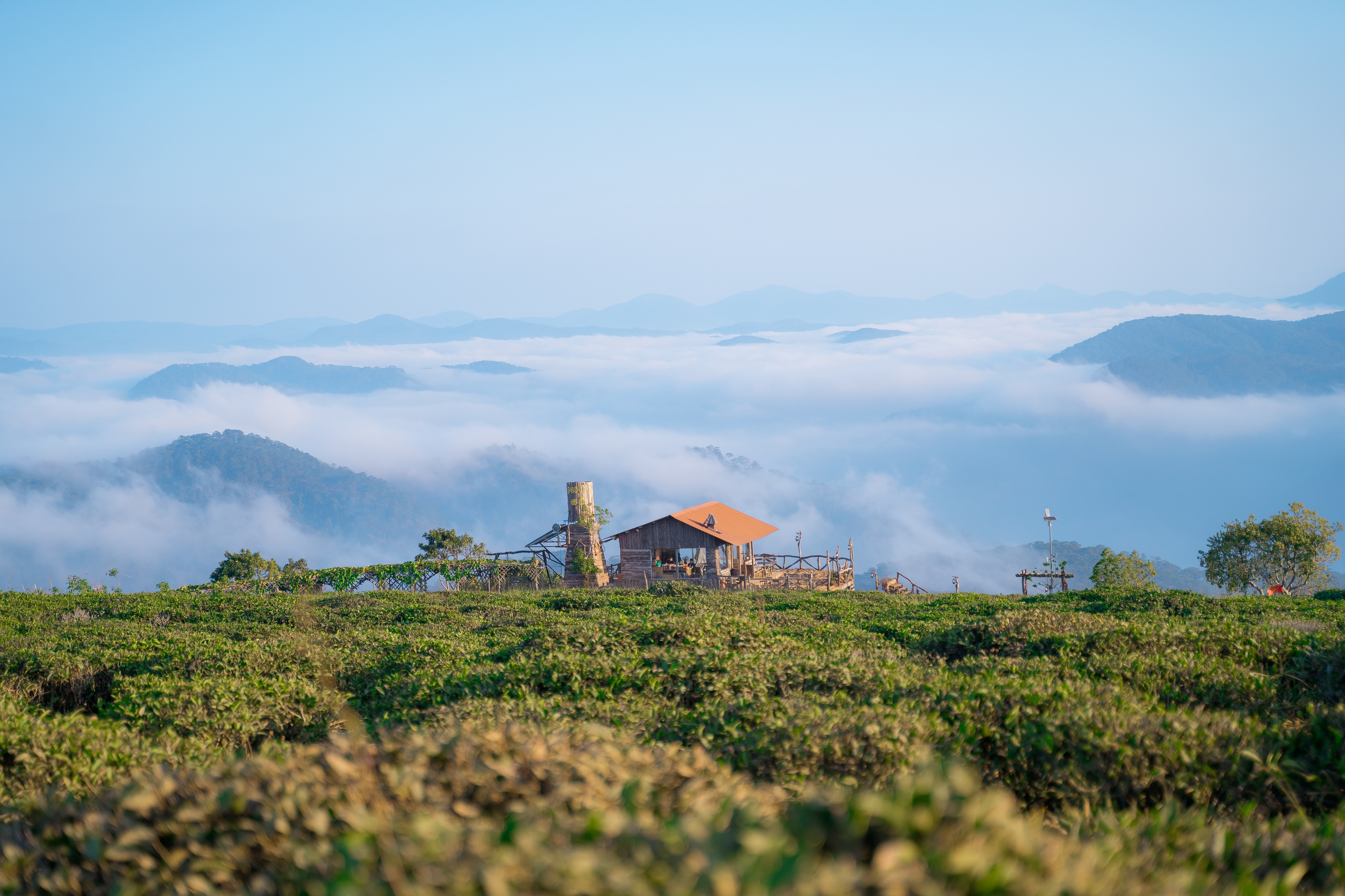 [대구출발] 나트랑/달랏 패키지 5일 (담당자추천/노옵션) 이미지