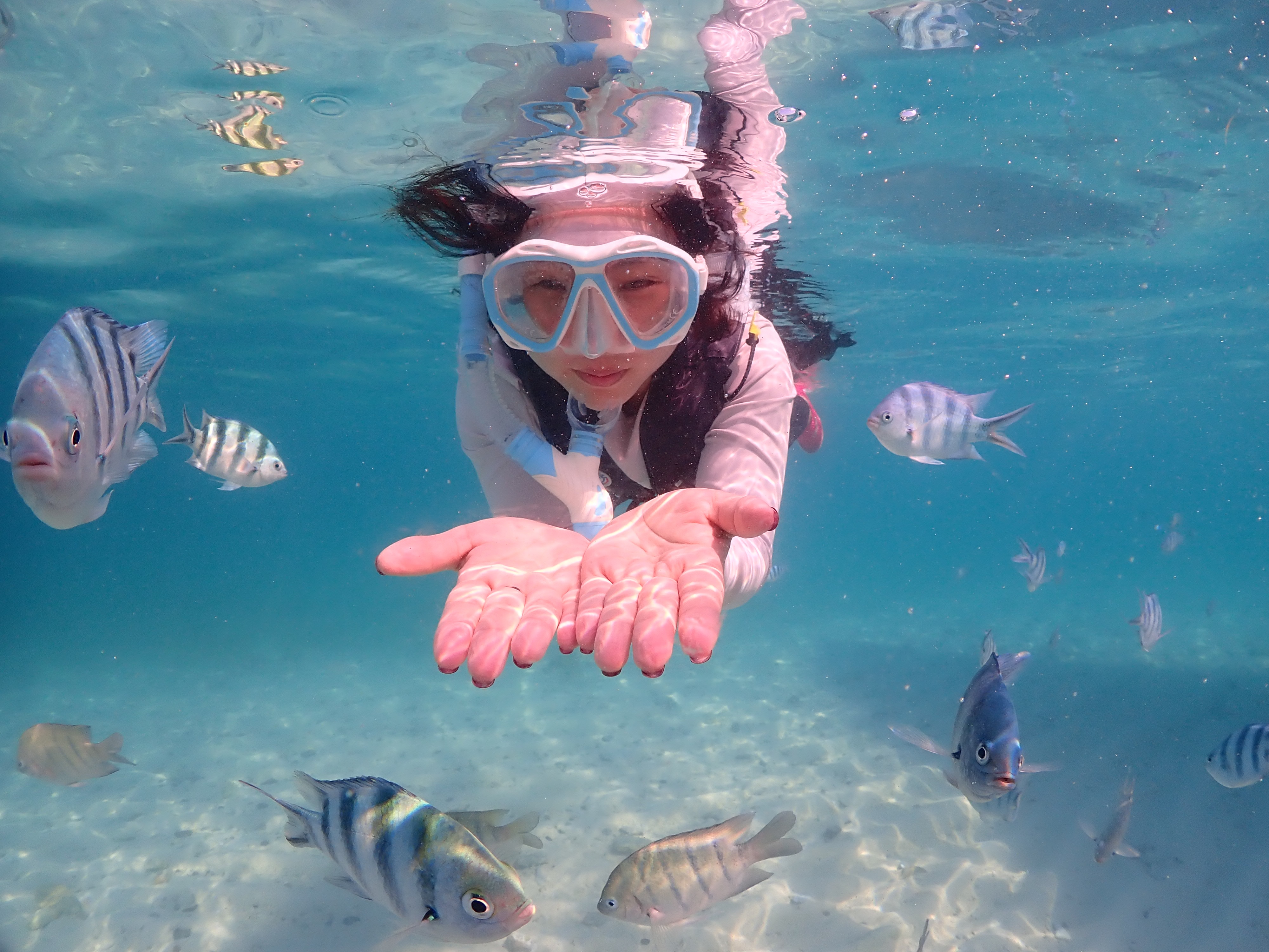 [30만원상당특전/노팁/노옵션] 방콕/파타야 5일 (4성급호텔/니모섬/욧시암크루즈/호텔루프탑)