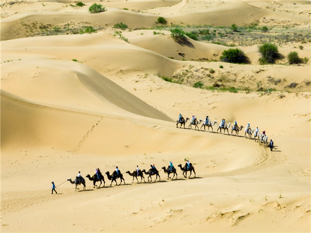 사진:내몽고(오르도스) 패키지 5/6일