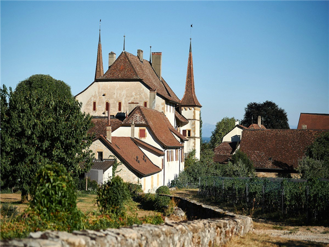 image1