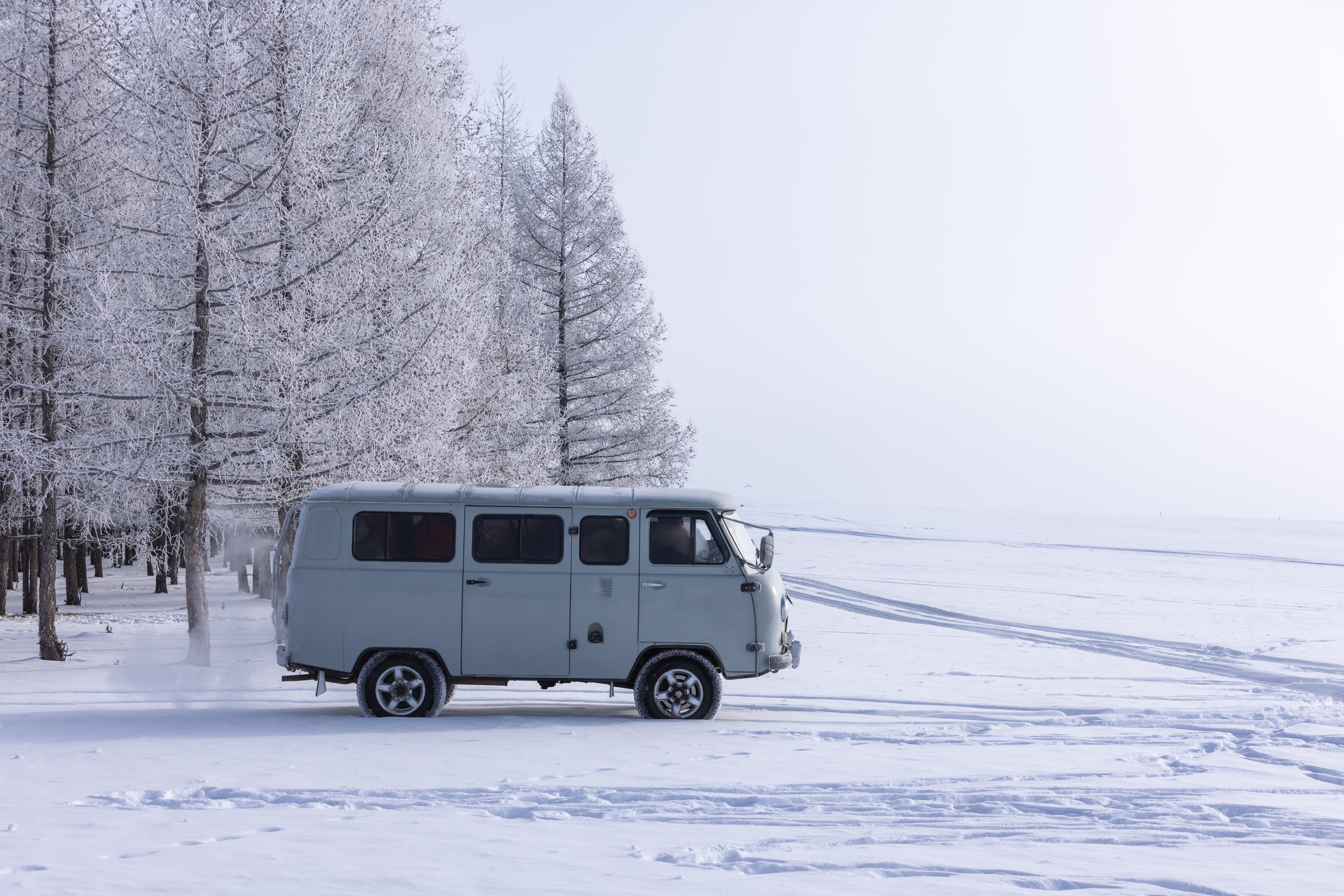 [설얼리버드]몽골/테를지 겨울여행 3일/4일/5일 신게르 2인1실 이미지