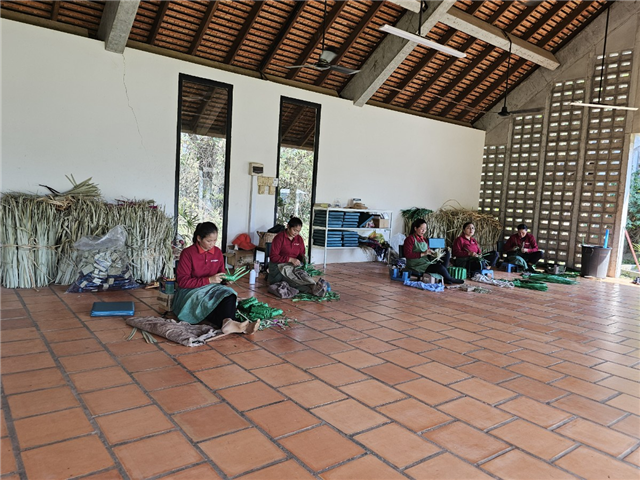 image4