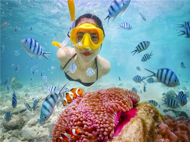 [즉시할인][아침출발][요트타이][노옵션/쇼핑1회/노팁] 방콕파타야 3박5일 [5성호텔]