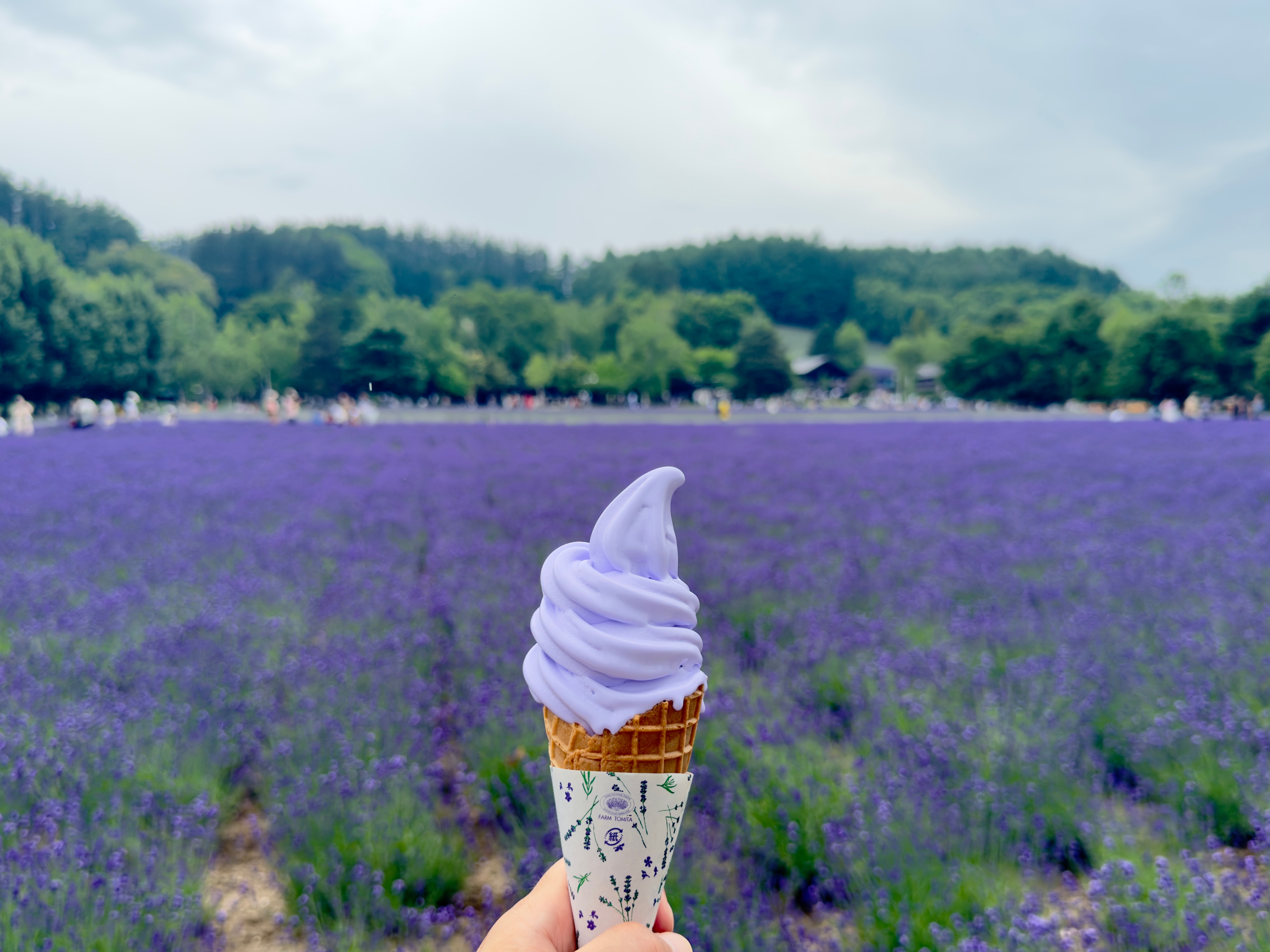 [출발확정][쾌적최적동선][비에이숙박] 비에이/오타루/삿포로 북해도 온천 4일 (온천2박/3대게+술음료무제한/노옵션)