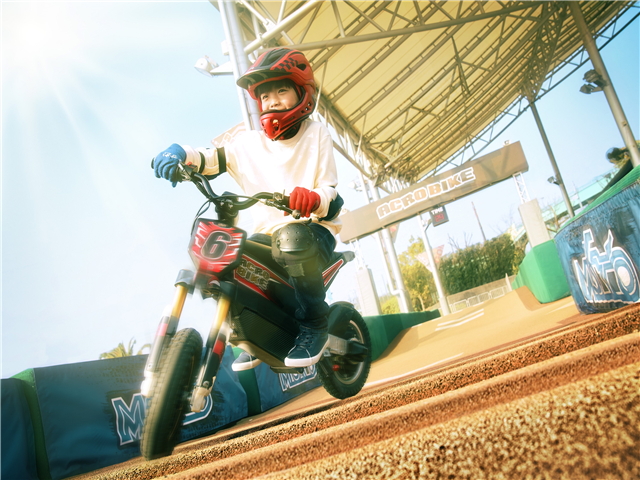 [F1의짜릿함/스즈카서킷] 나고야/미에/나라/교토 4일(전일/일루미네이션/대욕장)