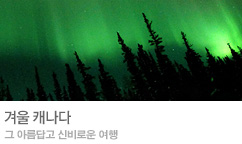 캐나다 동계 기획전