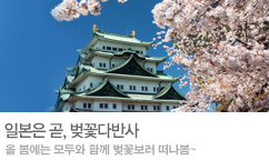 일본 벚꽃 2023