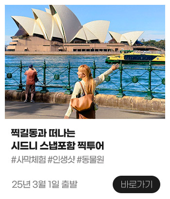 시드니