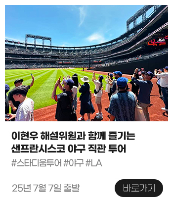 야구