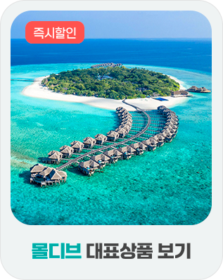 몰디브