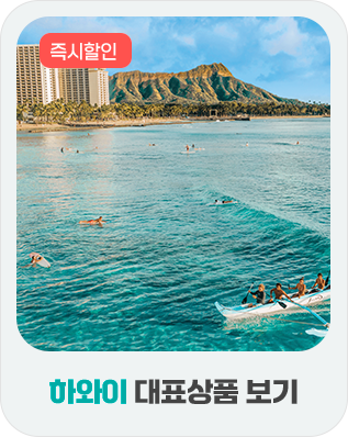 하와이