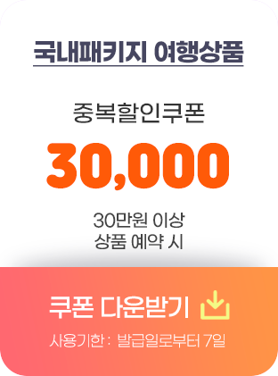 국내