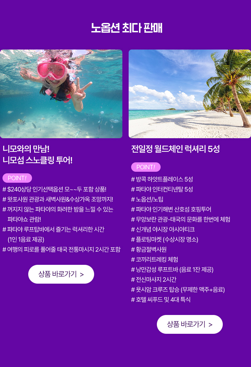 노옵션 패키지 판매 top2