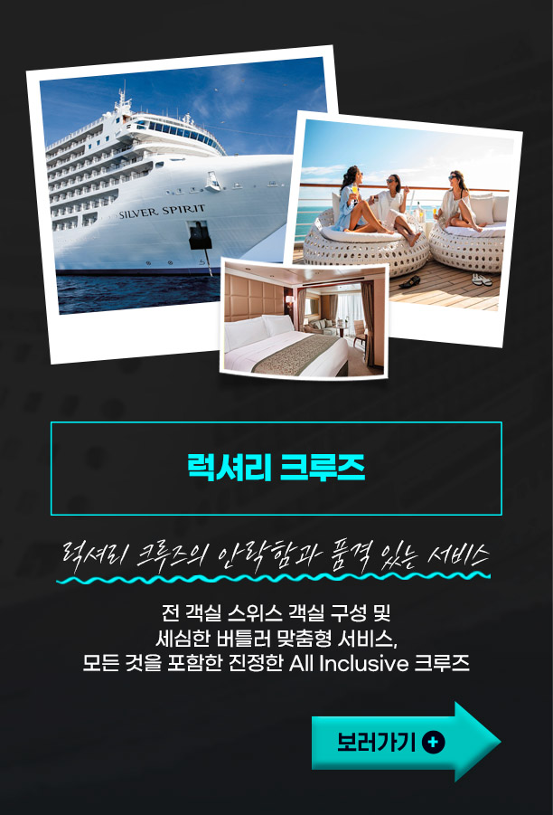 럭셔리 크루즈