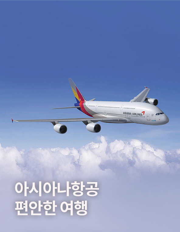 아시아나항공