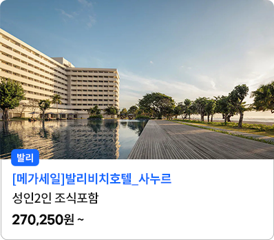 발리비치호텔_사누르_성인2인조식포함
