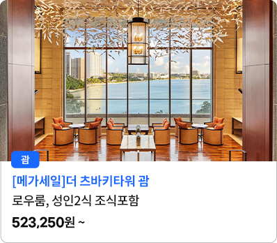 더 츠바키타워 괌_로우룸,성인2식조식포함