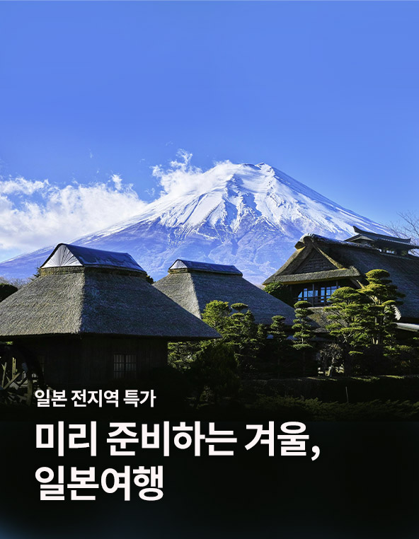 미리준비하는 겨울,일본여행