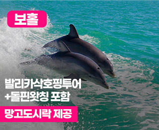 보홀