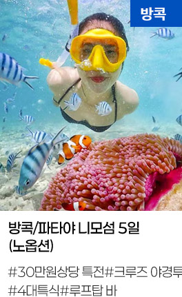 방콕/파타야 니모섬 5일(노옵션)