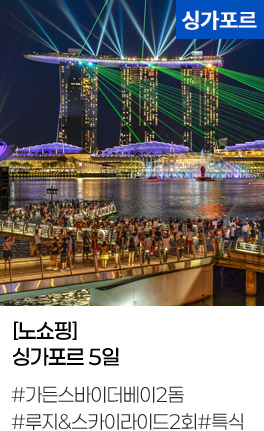 [노쇼핑] 싱가포르 5일