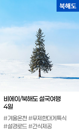 비에이/북해도 설국여행 4일