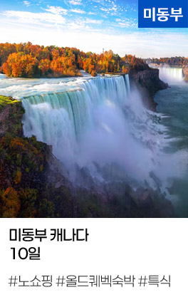 미동부 캐나다 10일