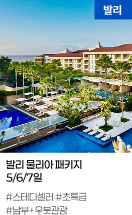 발리 물리아 패키지 5/6/7일